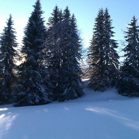 Chalet Daria Prémanon Екстериор снимка