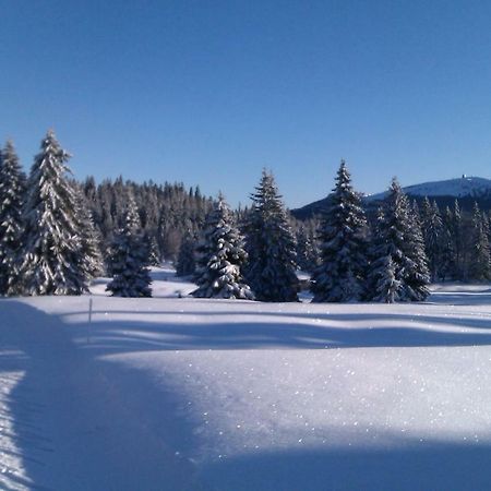 Chalet Daria Prémanon Екстериор снимка