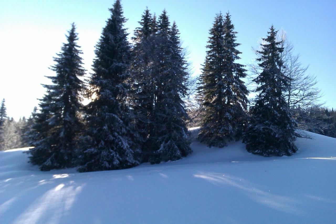 Chalet Daria Prémanon Екстериор снимка