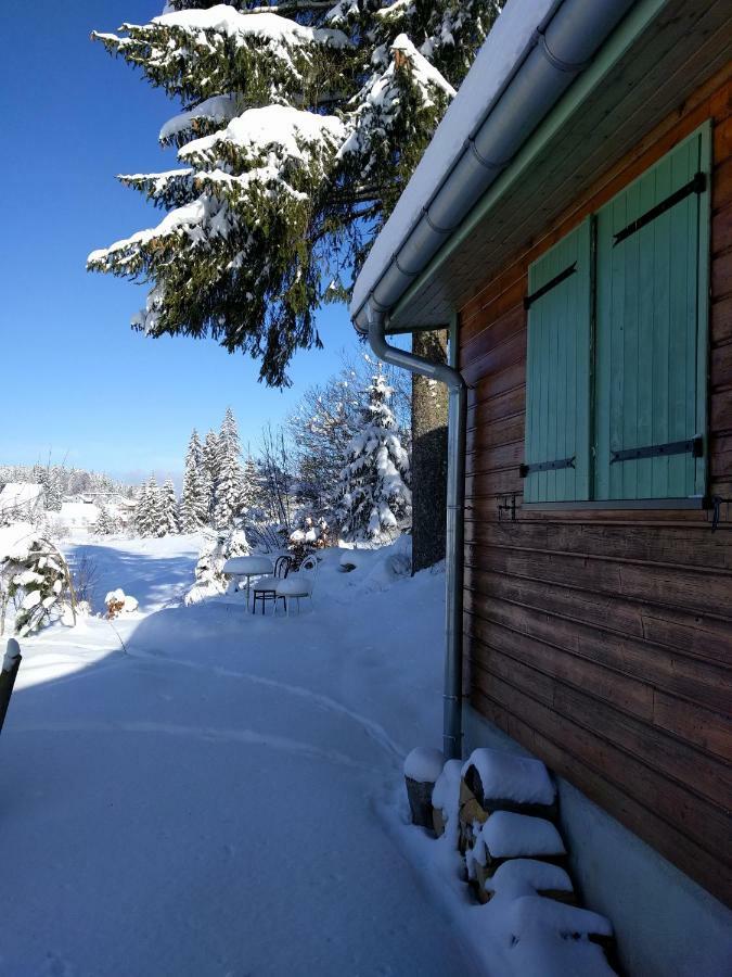 Chalet Daria Prémanon Екстериор снимка