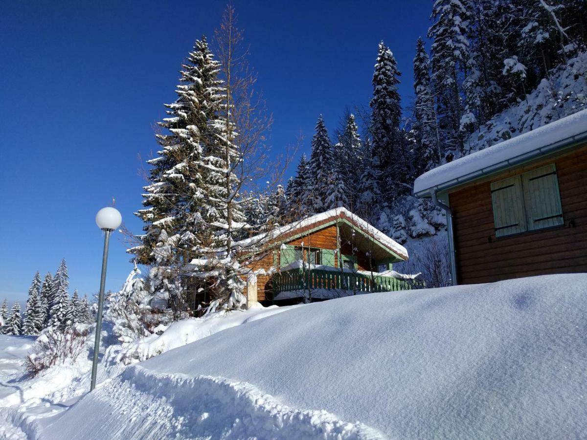 Chalet Daria Prémanon Екстериор снимка